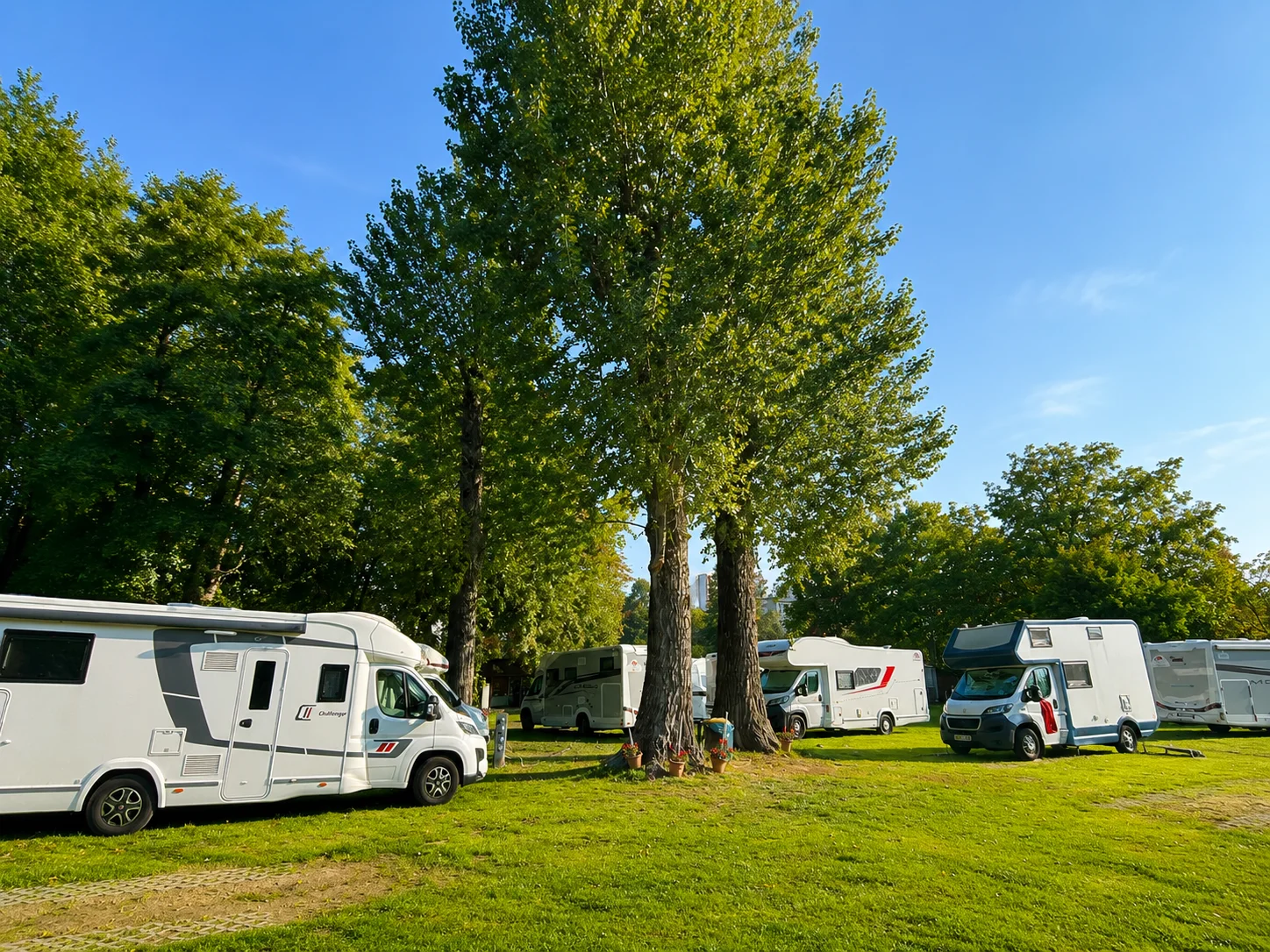 Kampery ustawione w zielonej części campingu